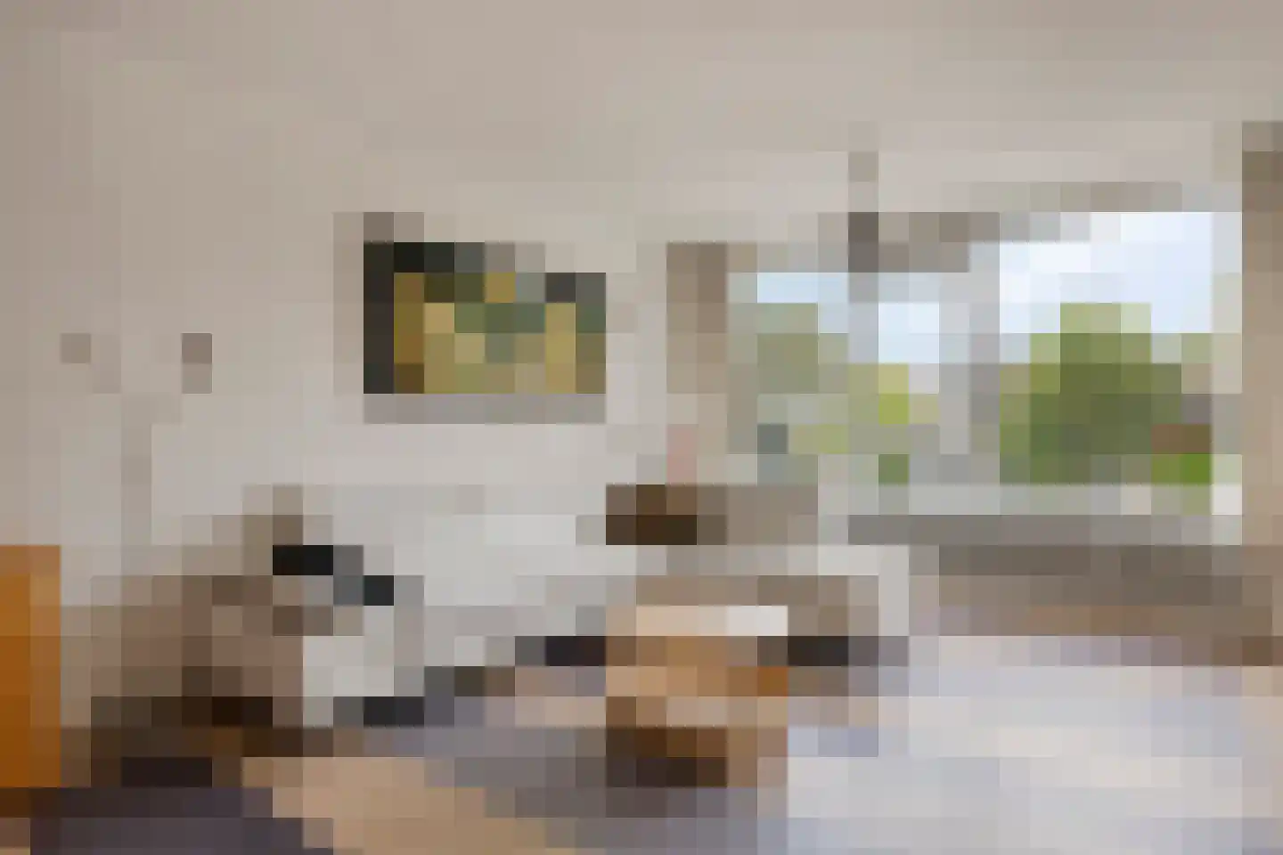 Groen van Prinstererlaan 22 Groningen thumbnail 16