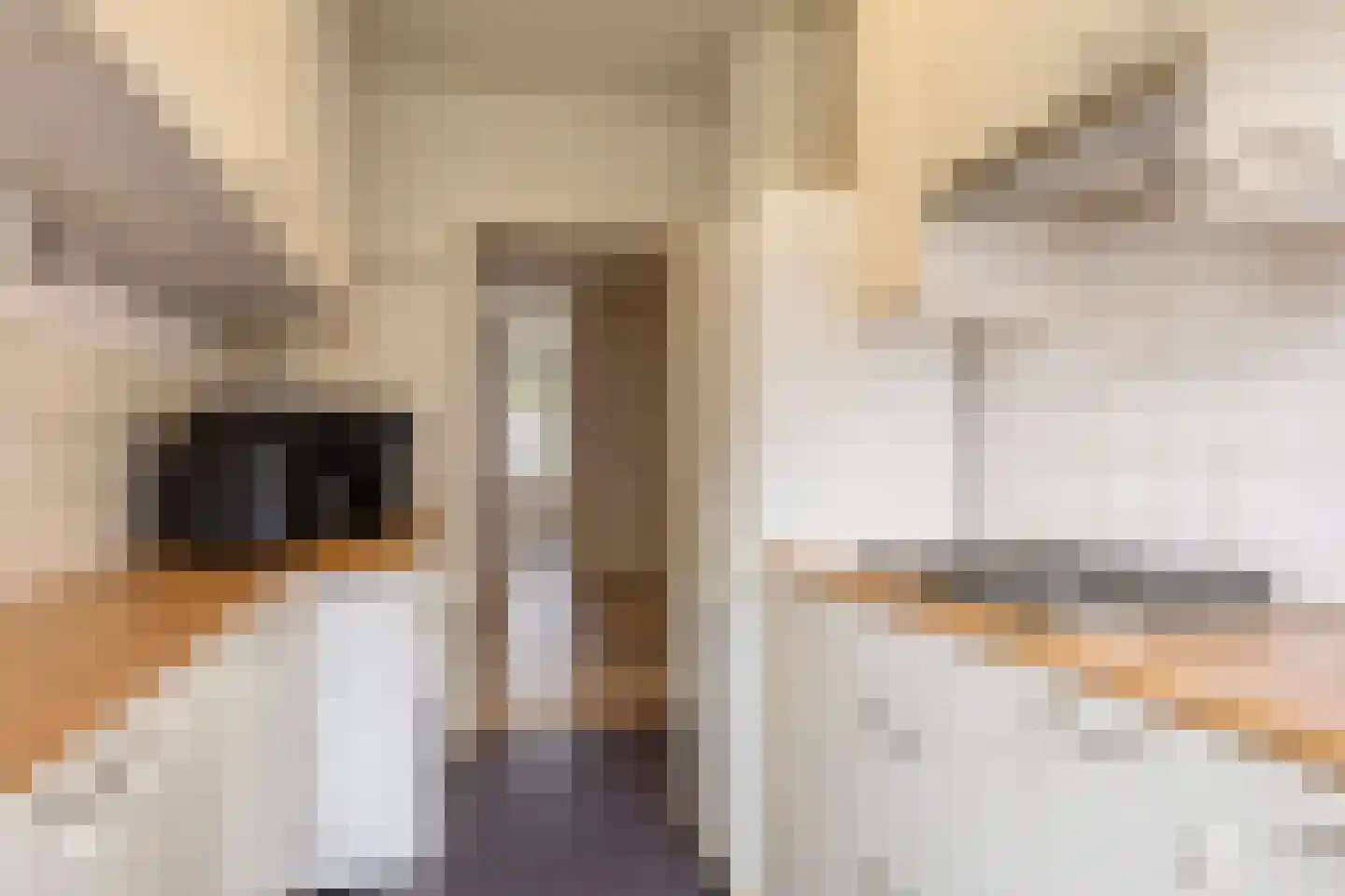 Groen van Prinstererlaan 22 Groningen thumbnail 21