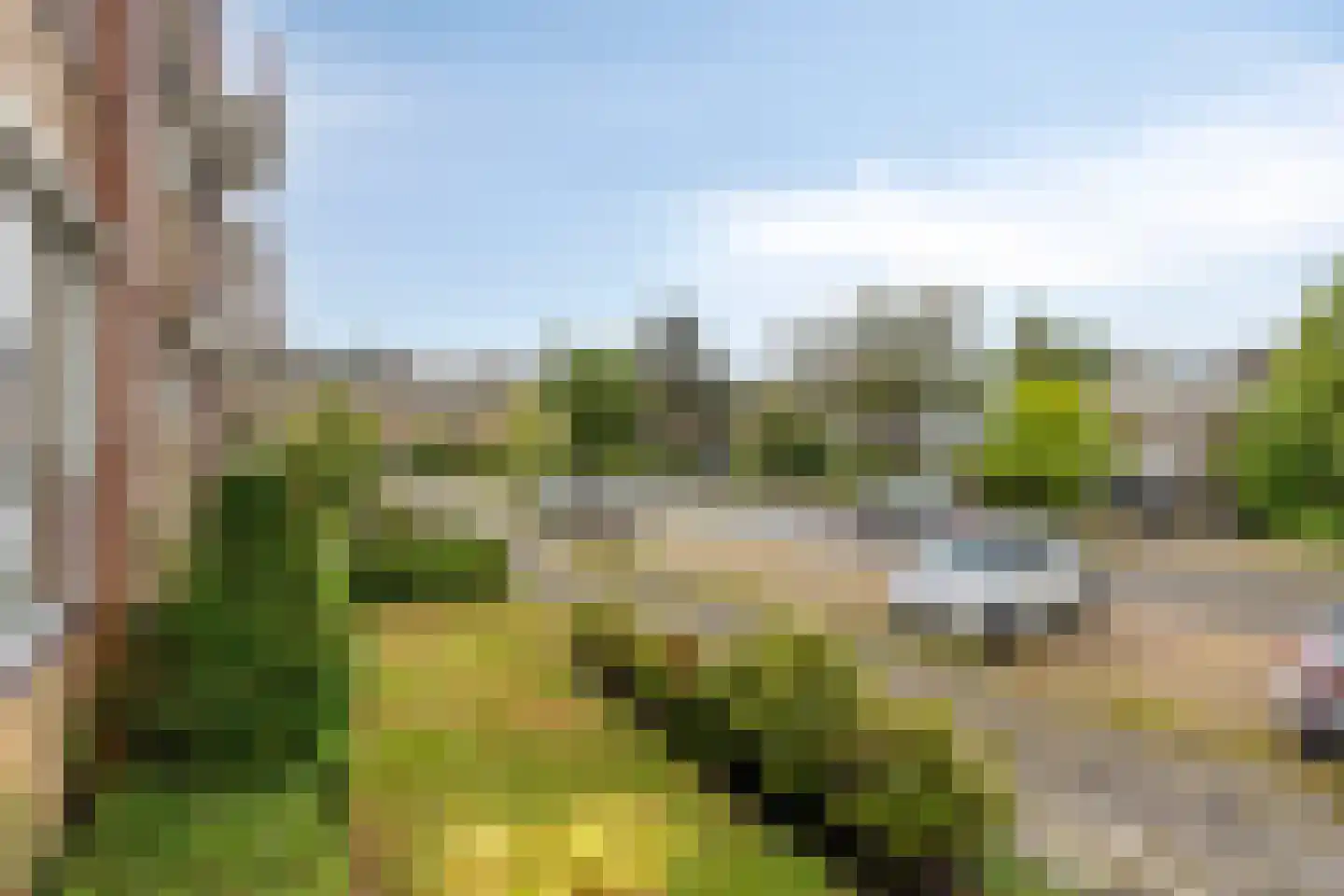 Groen van Prinstererlaan 22 Groningen thumbnail 27
