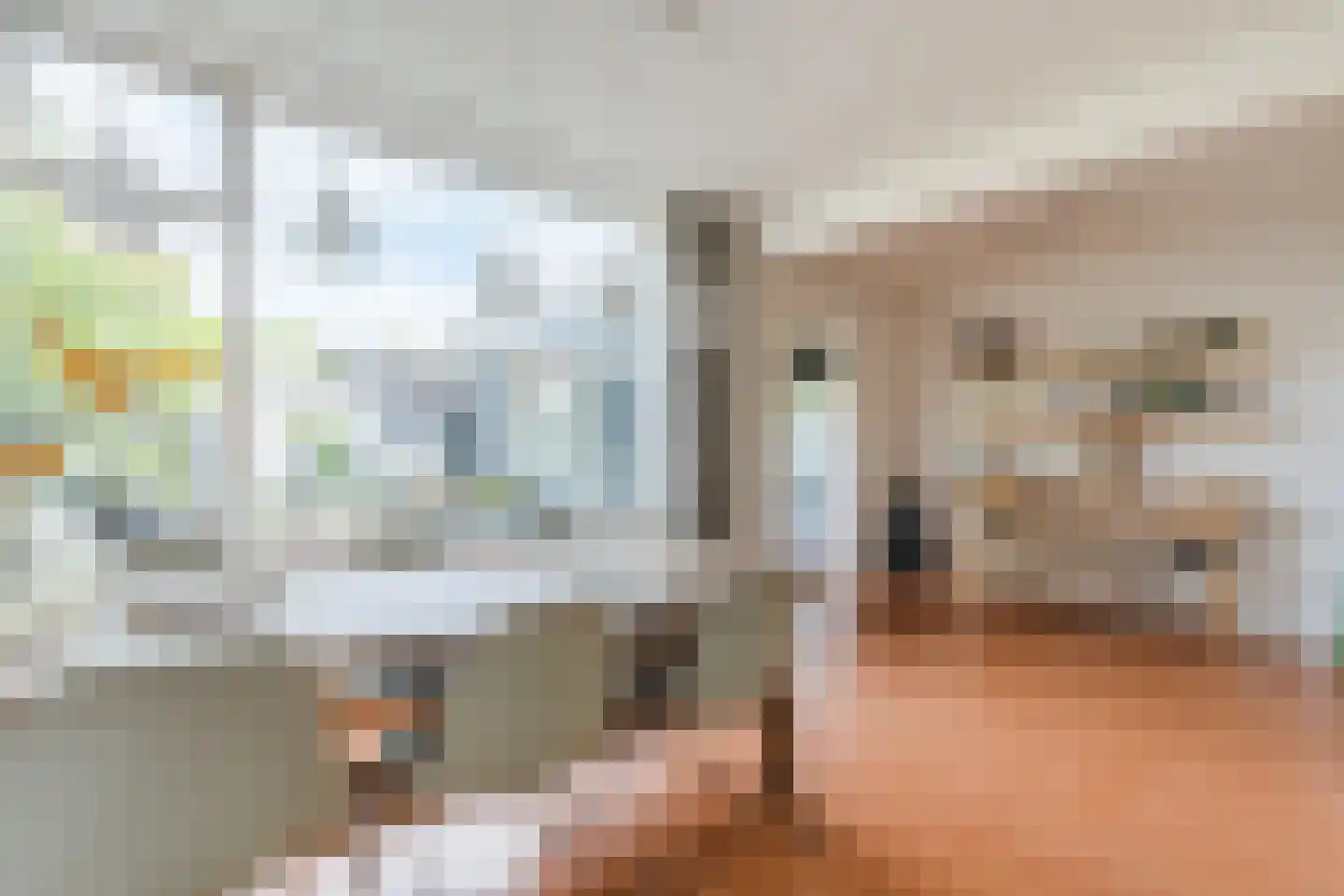 Groen van Prinstererlaan 22 Veghel thumbnail 16