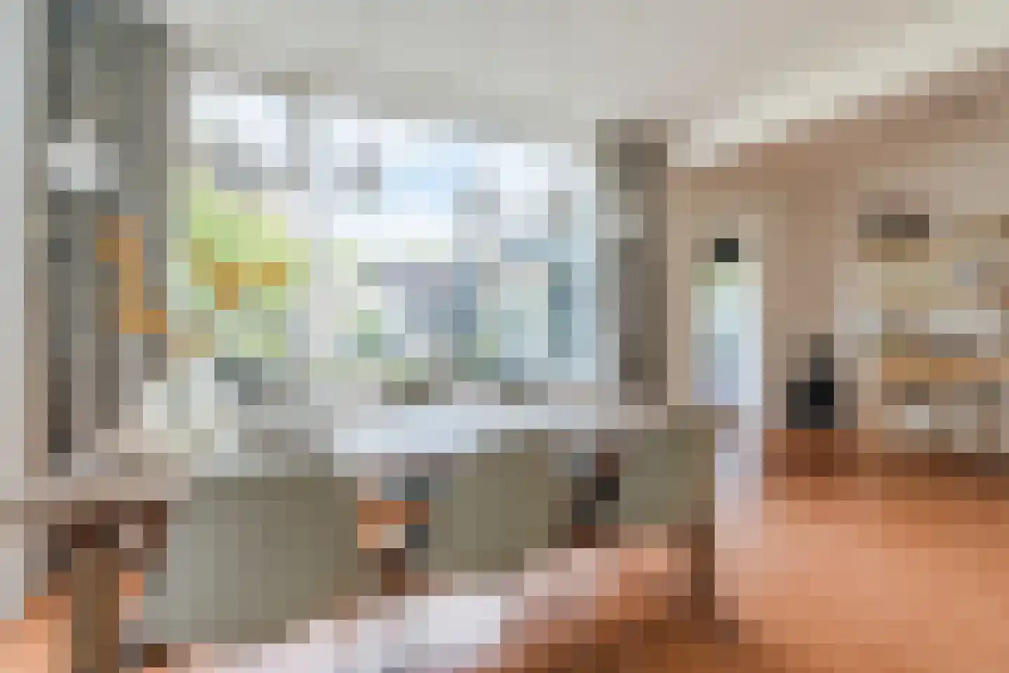 Groen van Prinstererlaan 22 Veghel thumbnail 17