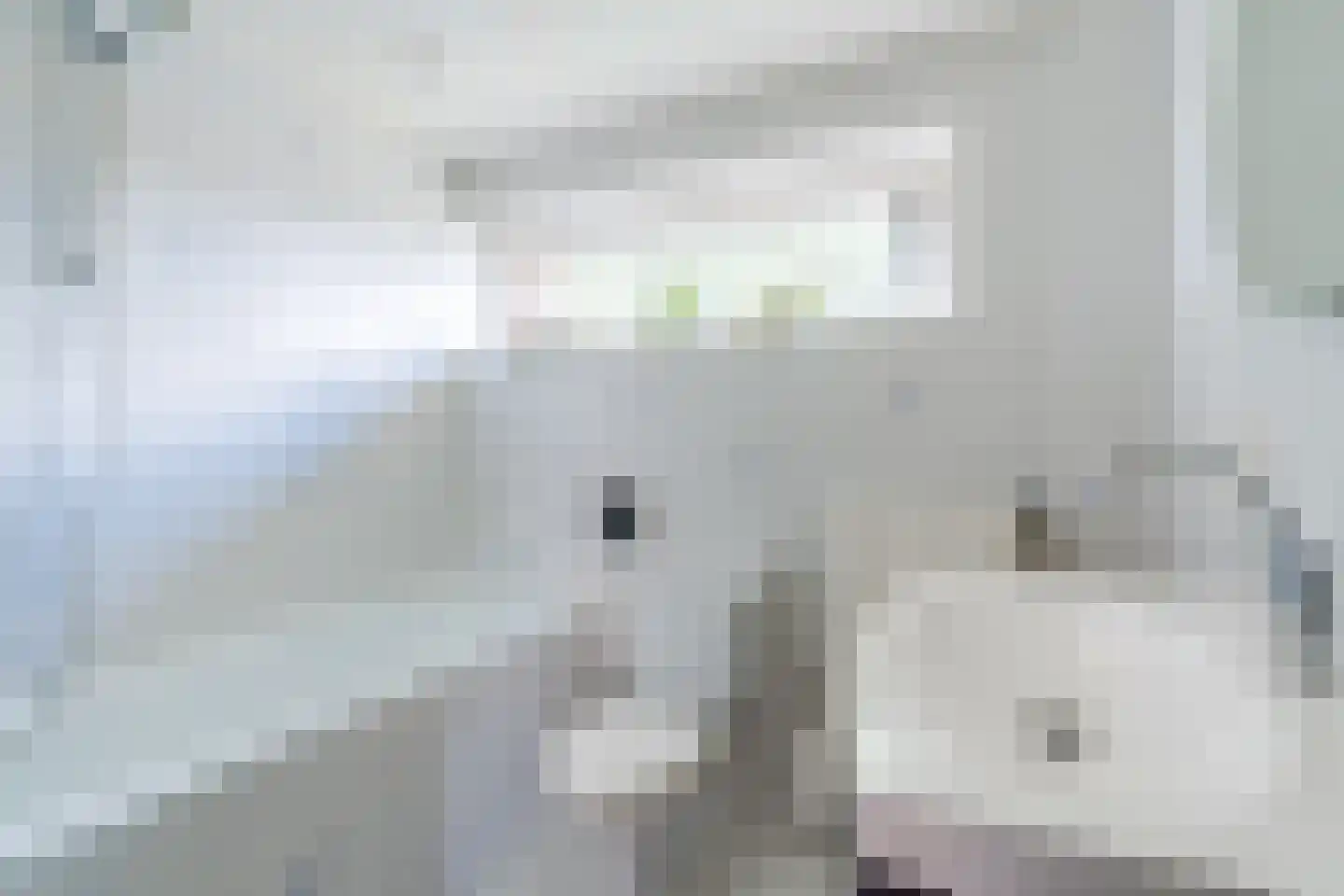 Groen van Prinstererlaan 22 Veghel thumbnail 37