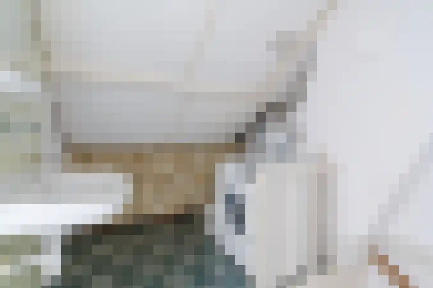 Groen van Prinstererlaan 22 Veghel thumbnail 41