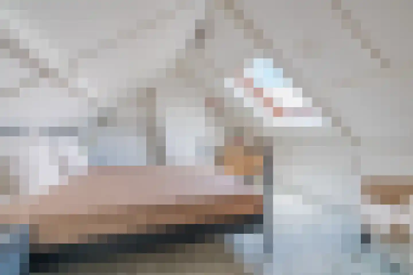 Groen van Prinstererlaan 22 Veghel thumbnail 43