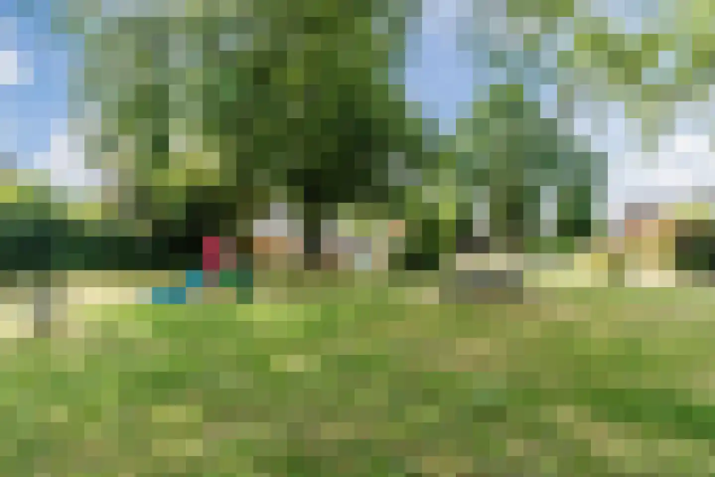 Groen van Prinstererlaan 22 Veghel thumbnail 5