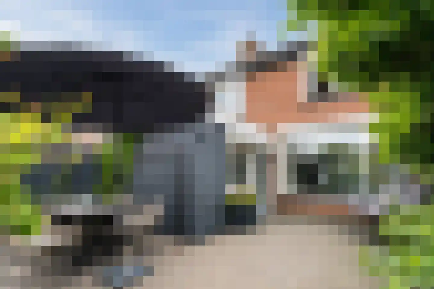 Groen van Prinstererlaan 22 Veghel thumbnail 50