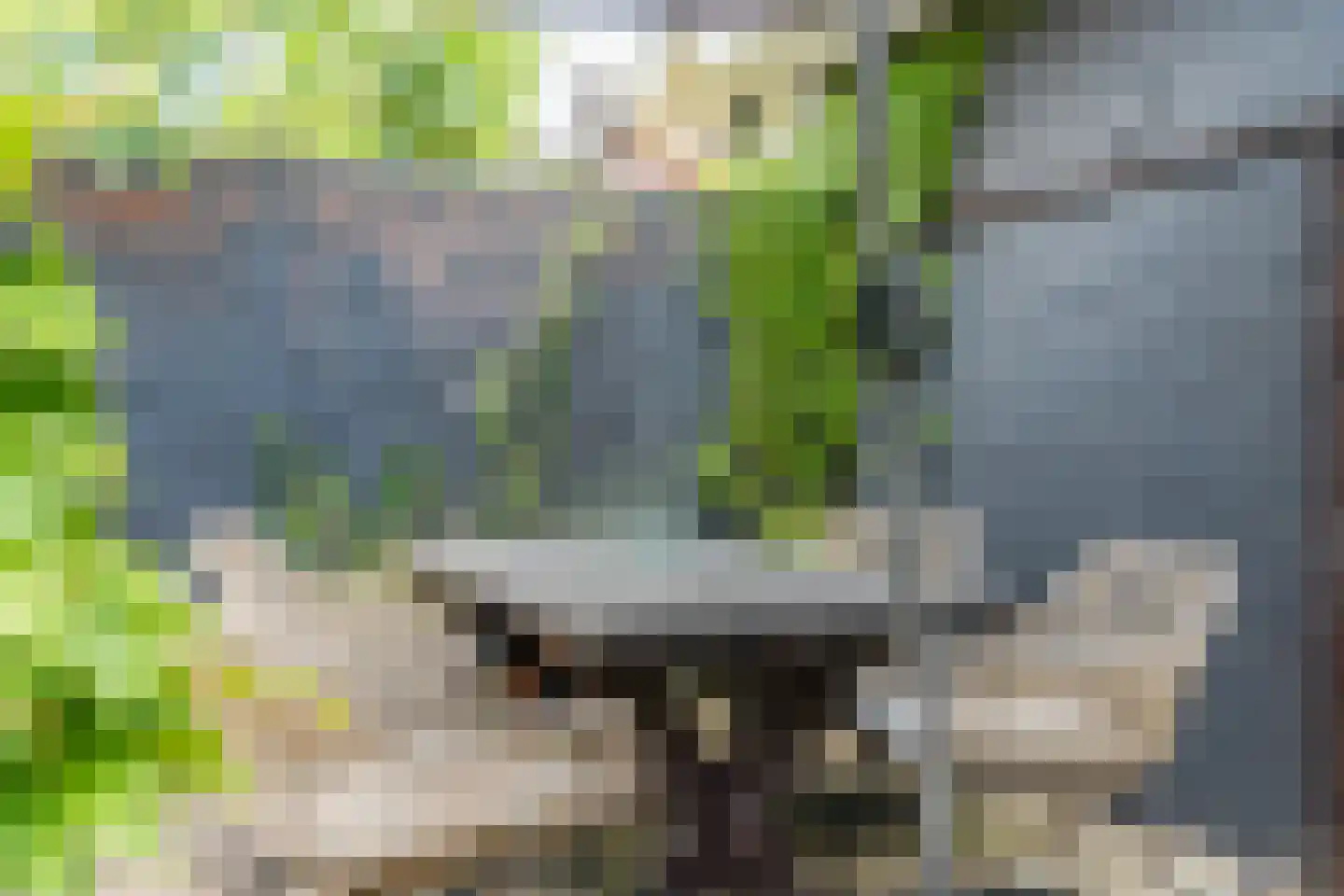 Groen van Prinstererlaan 22 Veghel thumbnail 51