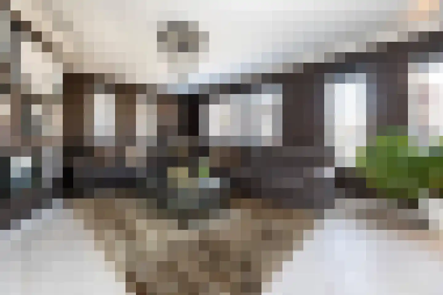 Groen van Prinstererlaan 25 Wezep thumbnail 12