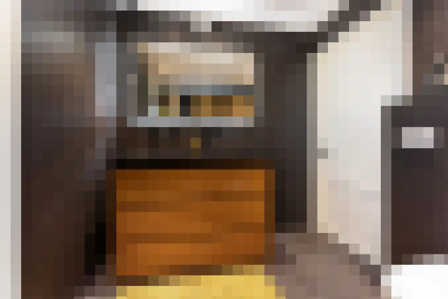 Groen van Prinstererlaan 25 Wezep thumbnail 31