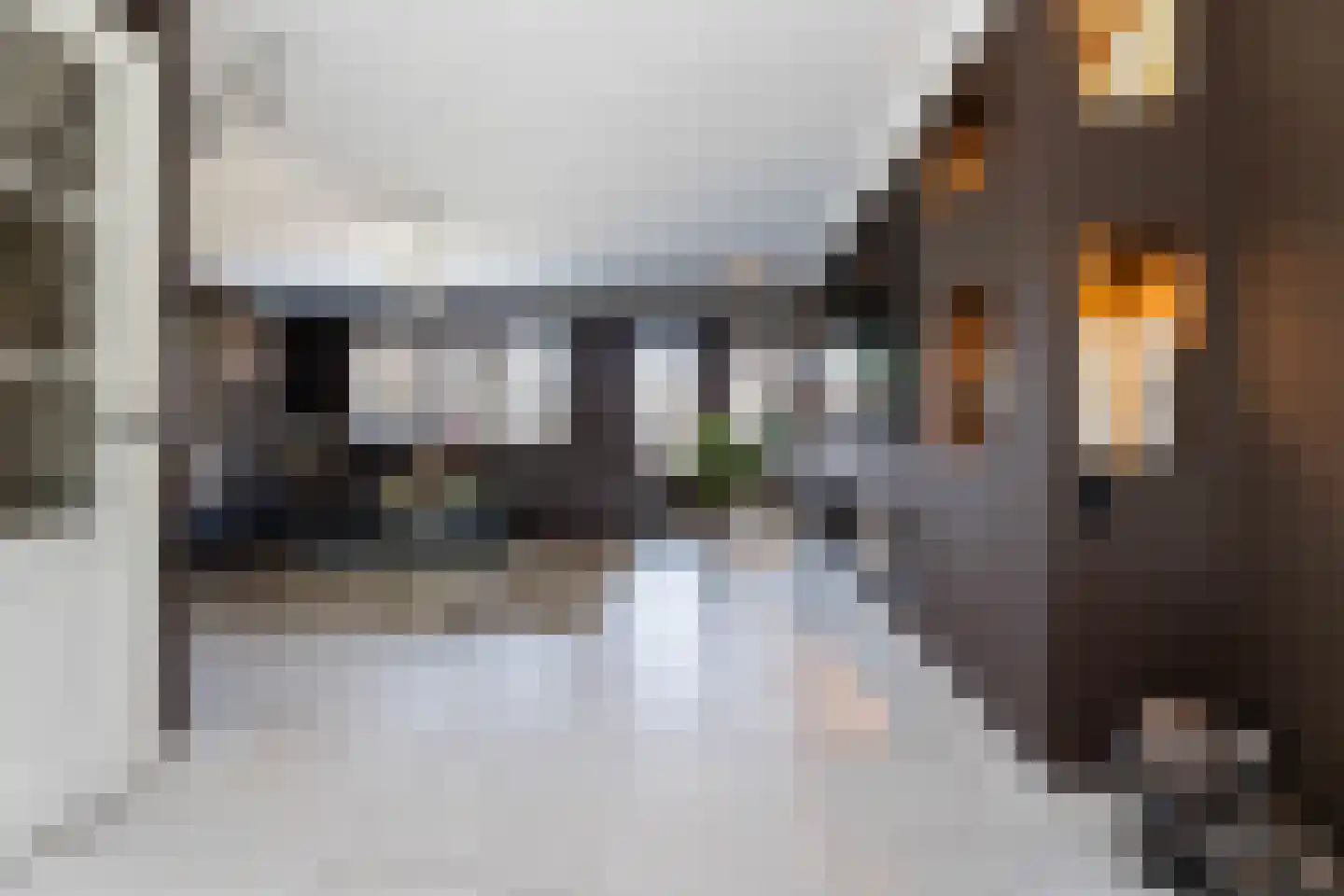 Groen van Prinstererlaan 25 Wezep thumbnail 4
