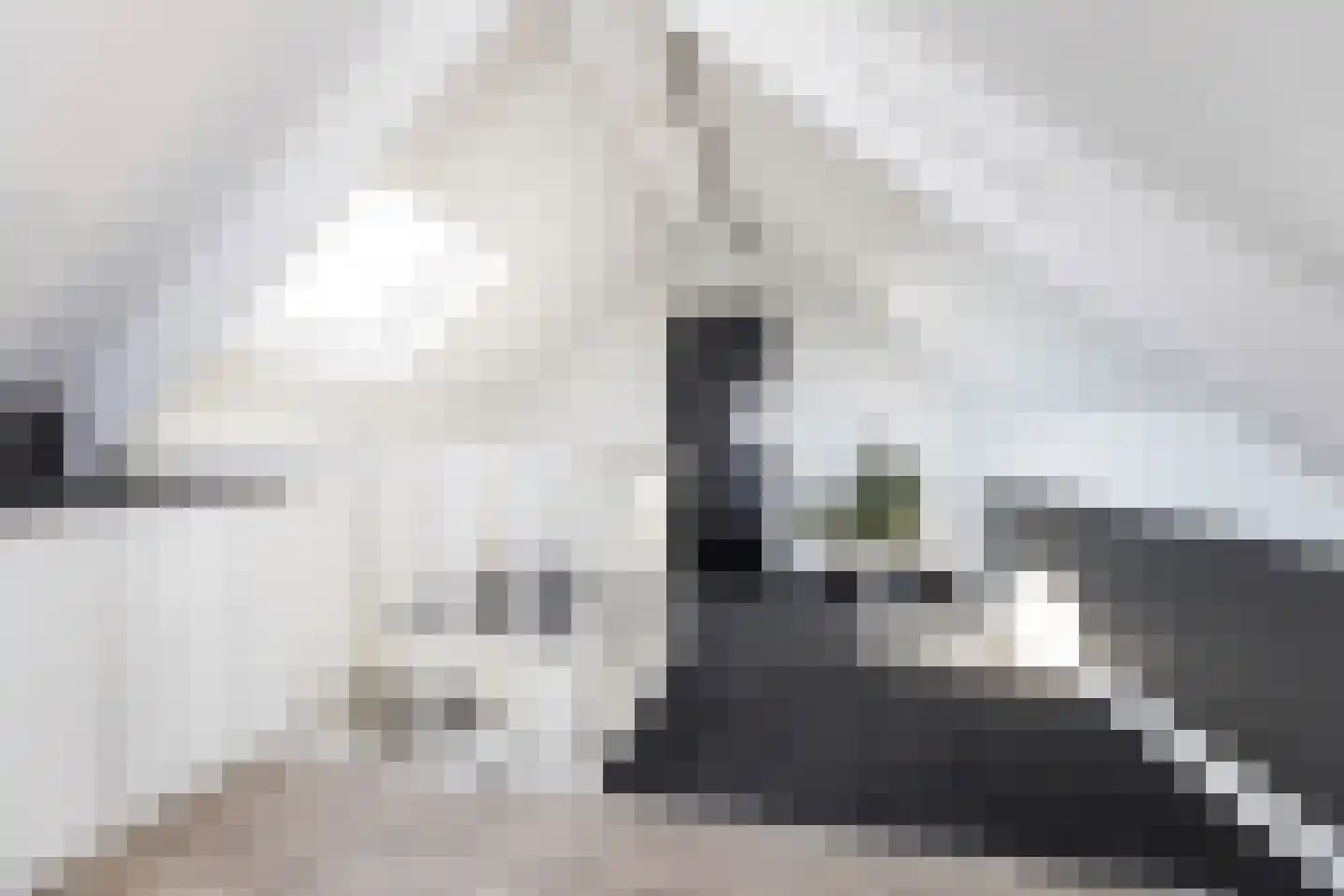 Groen van Prinstererlaan 25 Wezep thumbnail 40