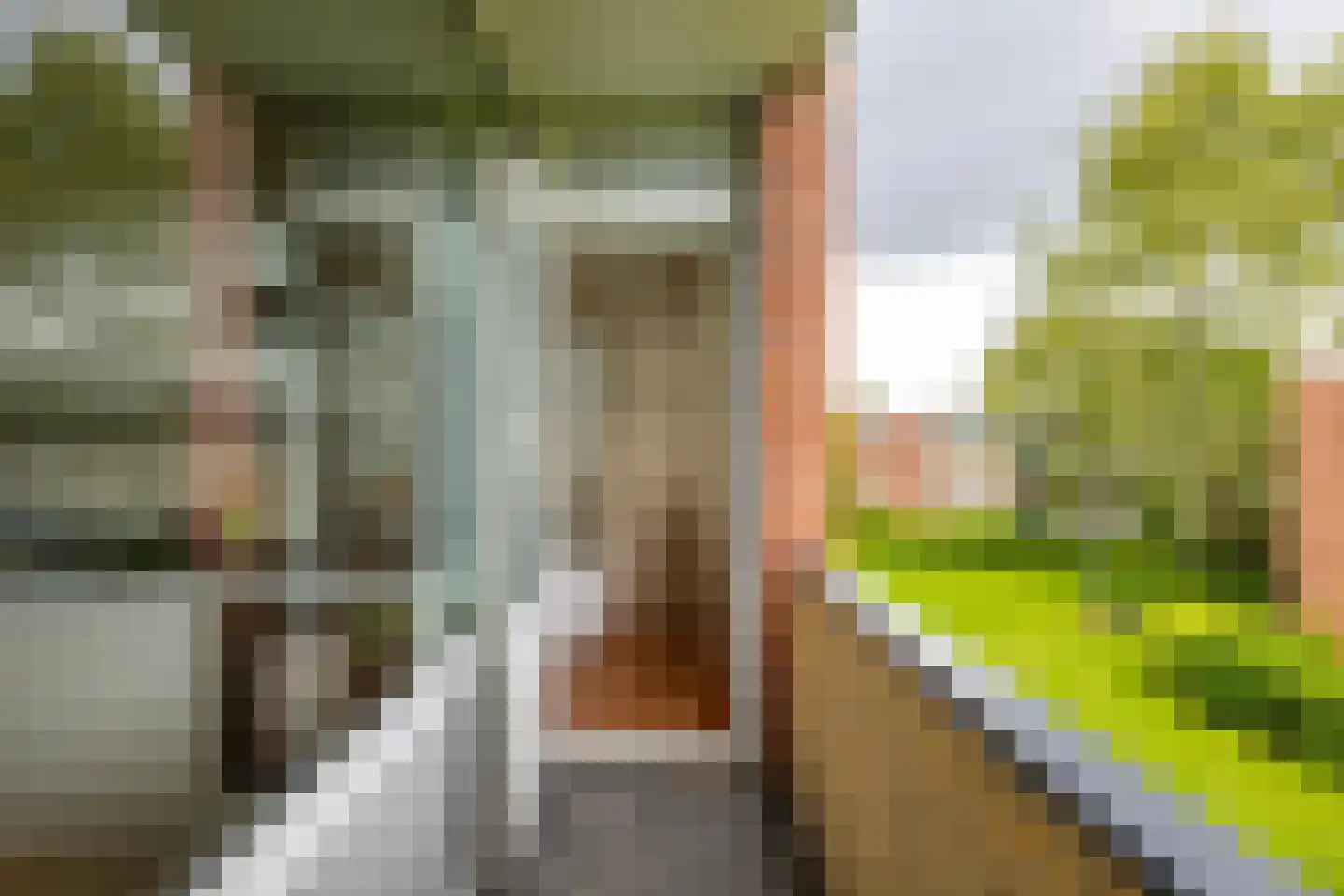 Groen van Prinstererlaan 26 Groningen thumbnail 16