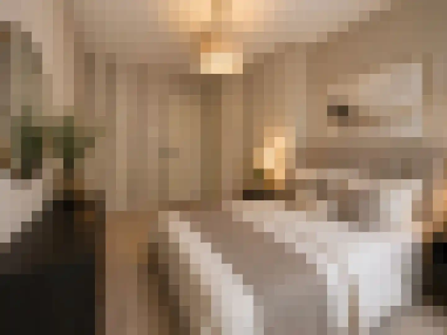 Groen van Prinstererlaan 260 Den Haag thumbnail 10