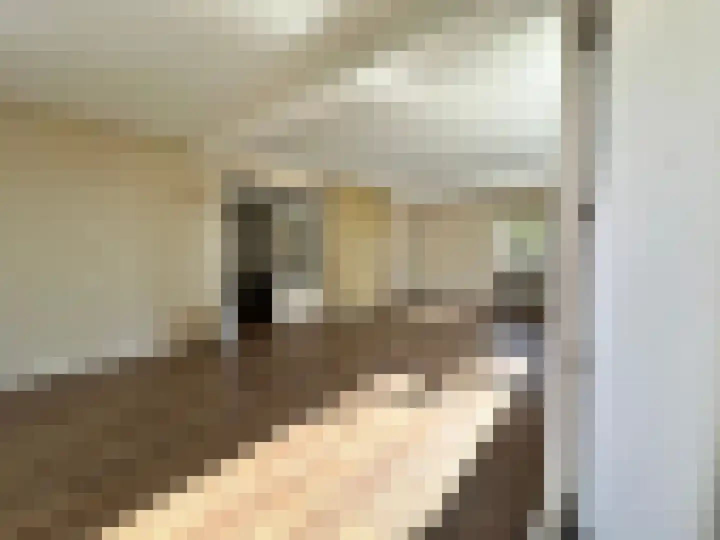 Groen van Prinstererlaan 260 Den Haag thumbnail 15