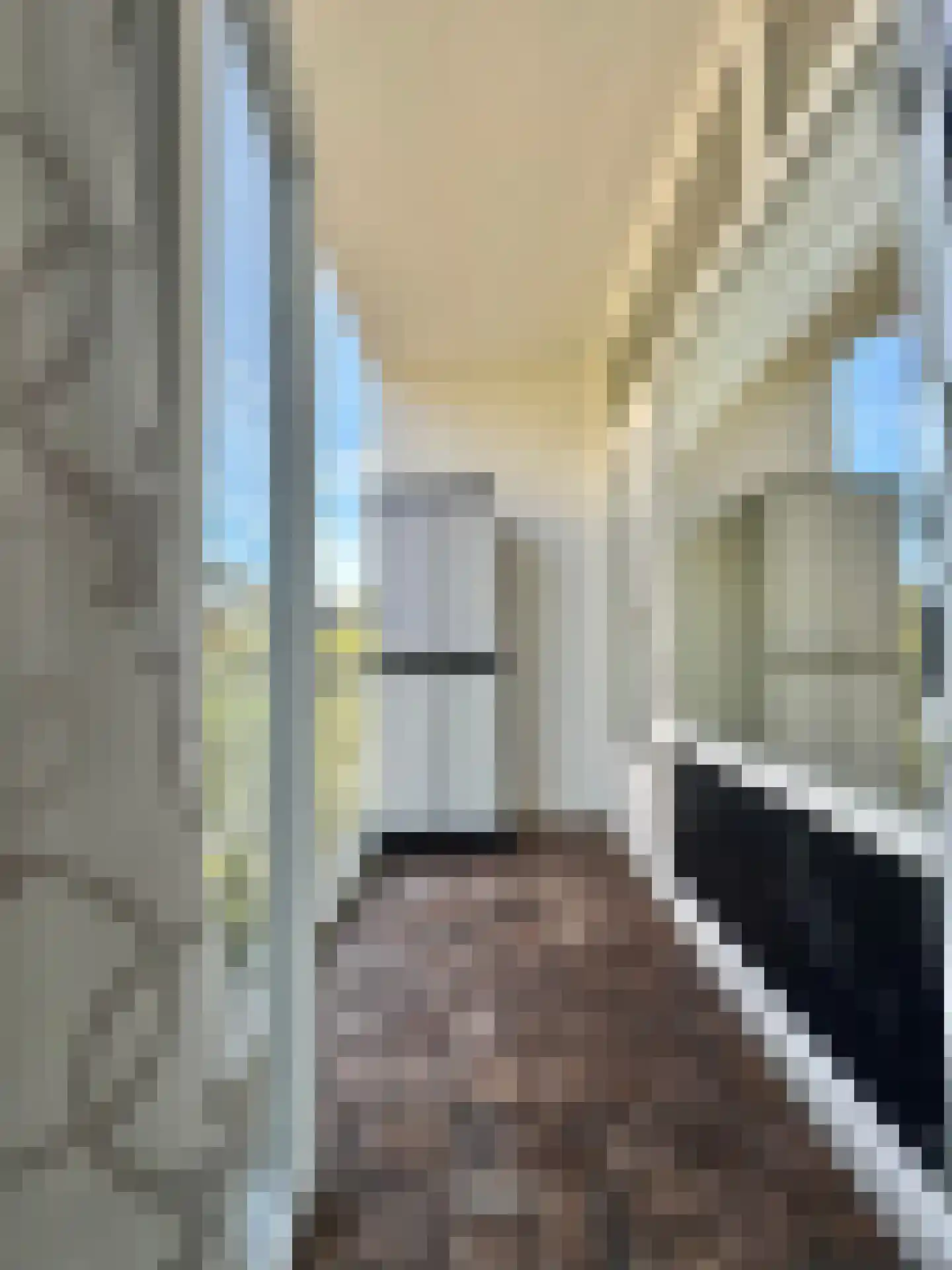 Groen van Prinstererlaan 260 Den Haag thumbnail 22