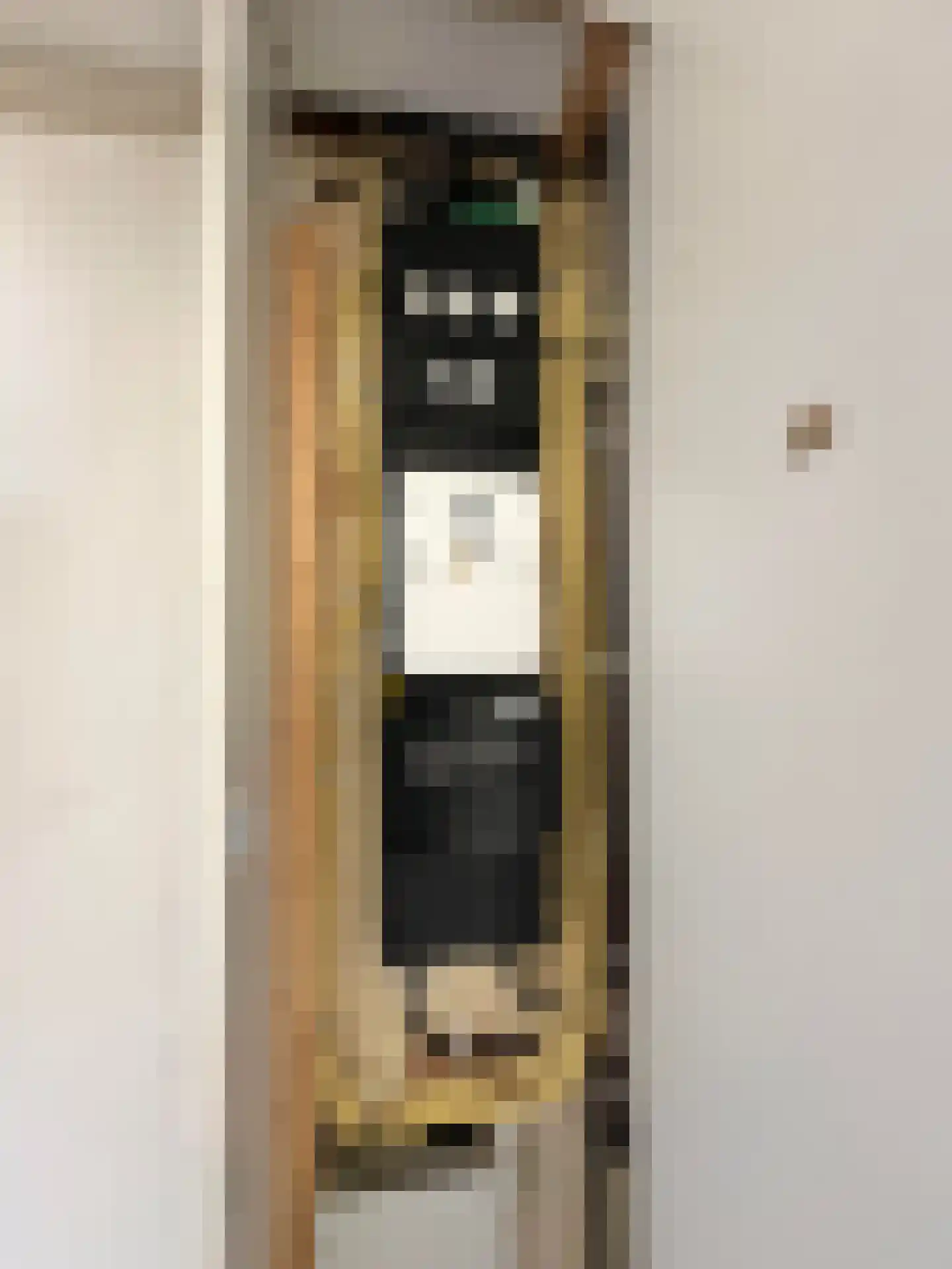 Groen van Prinstererlaan 260 Den Haag thumbnail 31
