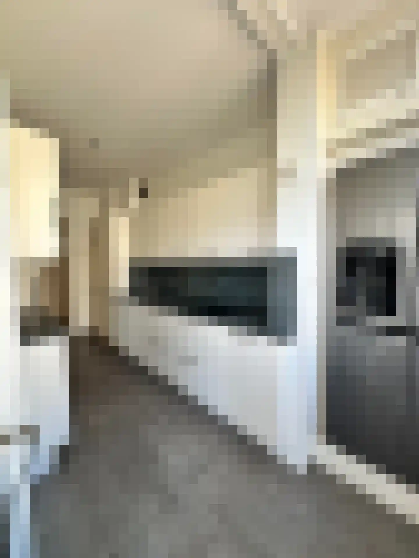 Groen van Prinstererlaan 260 Den Haag thumbnail 4