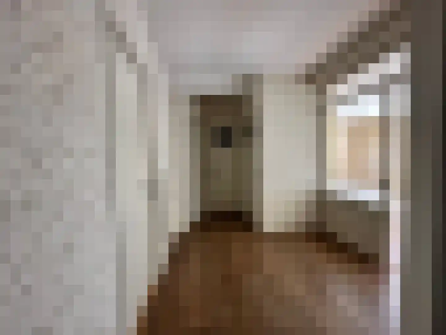 Groen van Prinstererlaan 260 Den Haag thumbnail 5