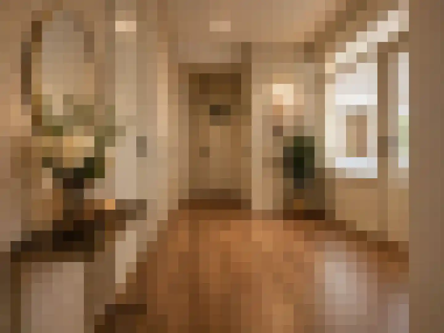 Groen van Prinstererlaan 260 Den Haag thumbnail 6