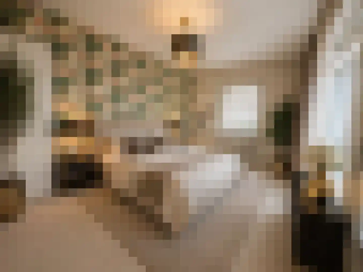 Groen van Prinstererlaan 260 Den Haag thumbnail 8