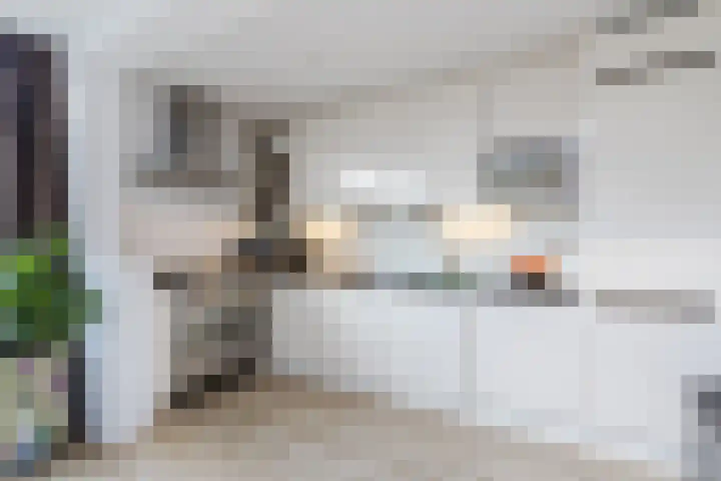 Groen van Prinstererlaan 29 Reeuwijk thumbnail 22