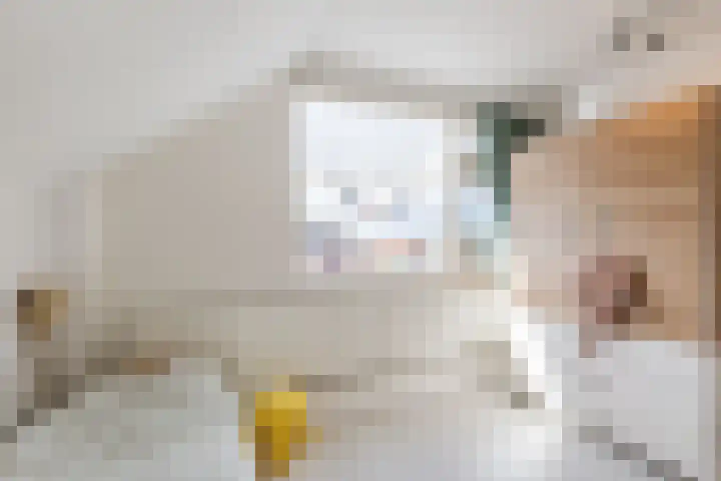 Groen van Prinstererlaan 29 Reeuwijk thumbnail 41