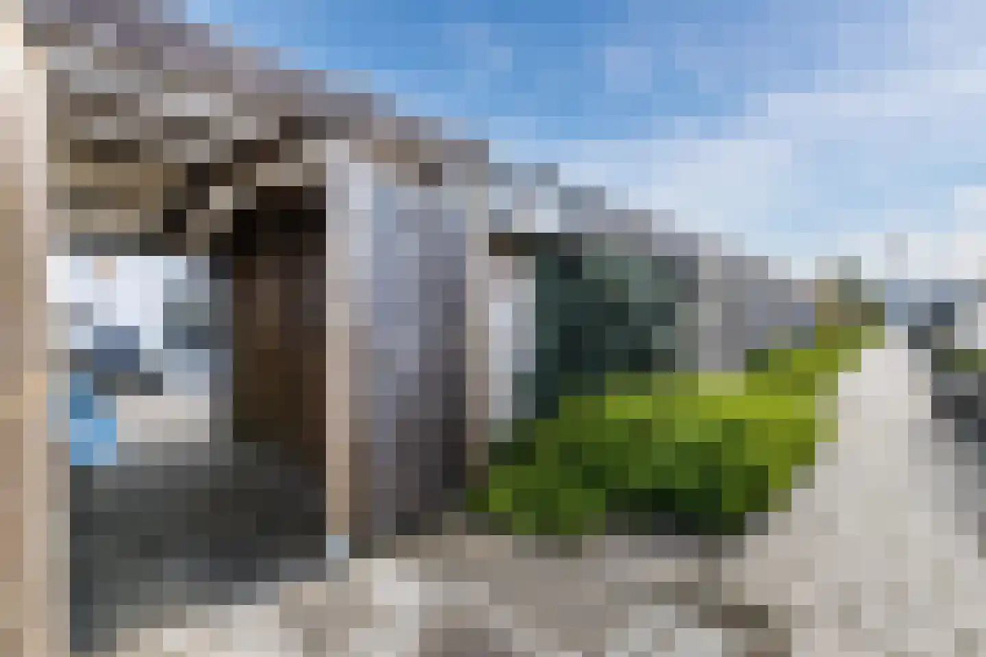 Groen van Prinstererlaan 29 Reeuwijk thumbnail 51