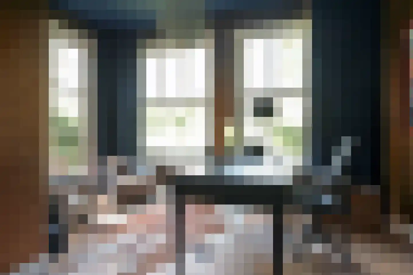 Groen van Prinstererlaan 3 Wassenaar thumbnail 15