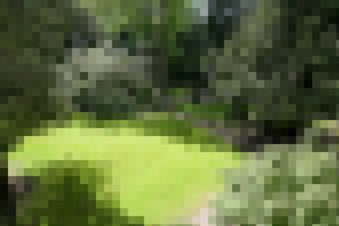 Groen van Prinstererlaan 3 Wassenaar thumbnail 23