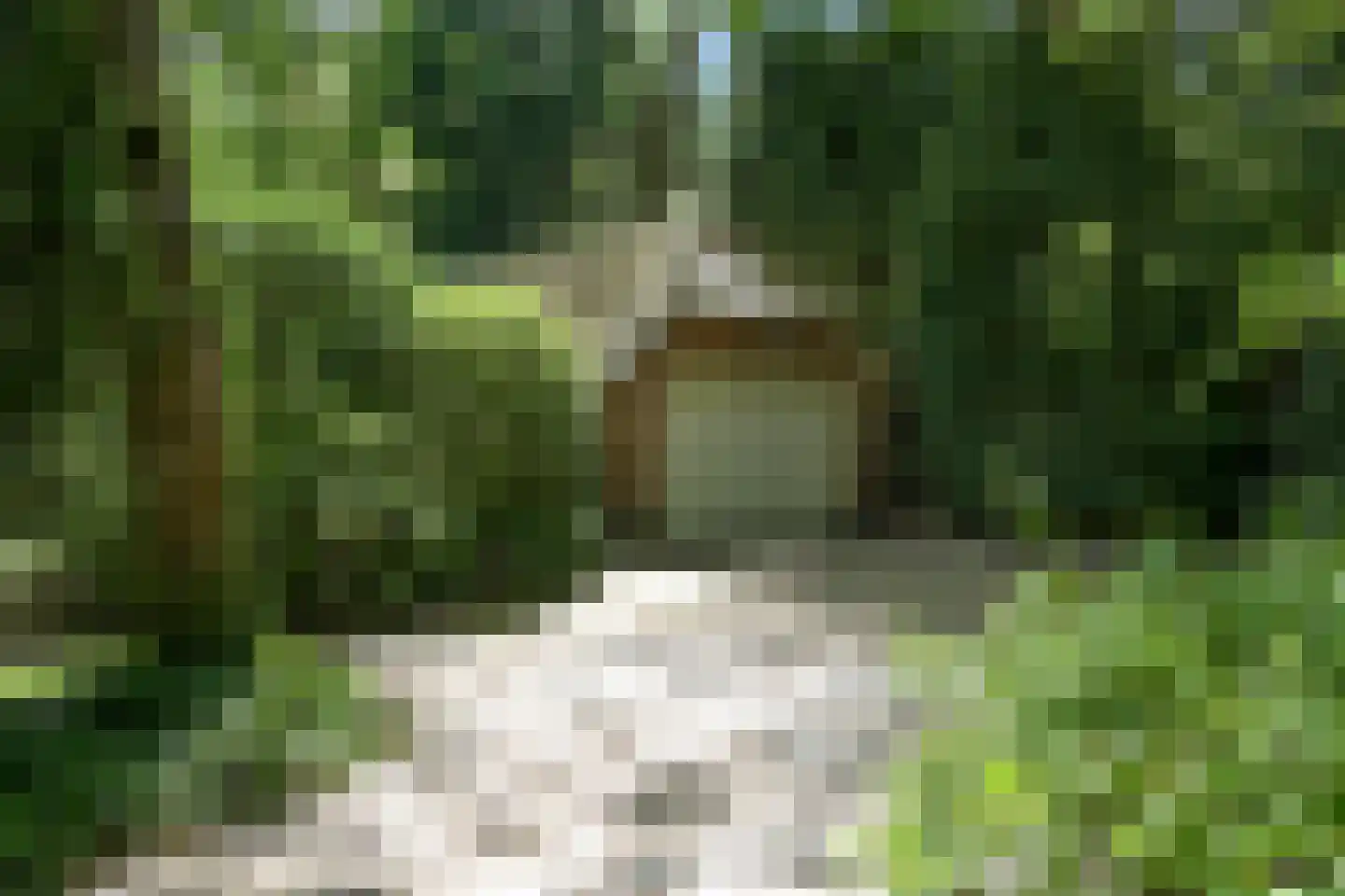 Groen van Prinstererlaan 3 Wassenaar thumbnail 44