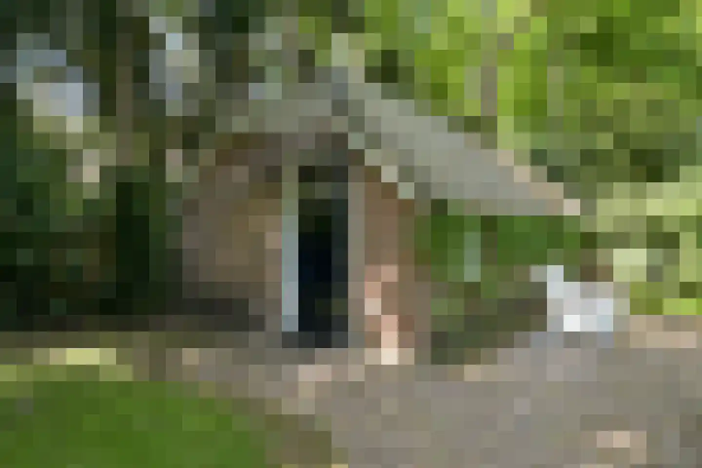Groen van Prinstererlaan 3 Wassenaar thumbnail 45