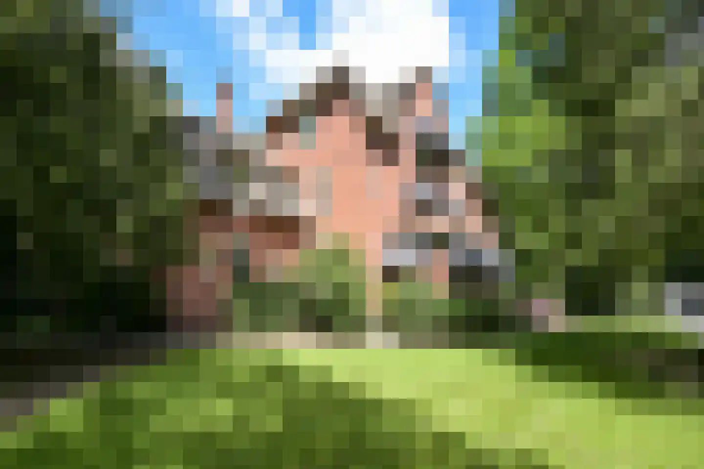 Groen van Prinstererlaan 3 Wassenaar thumbnail 51