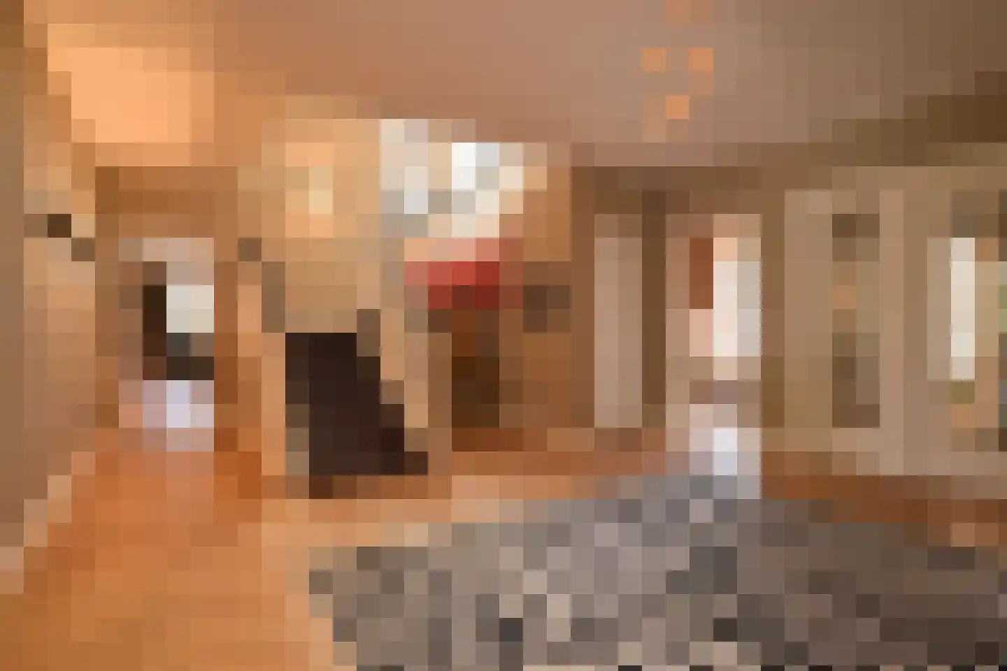 Groen van Prinstererlaan 3 Wassenaar thumbnail 6