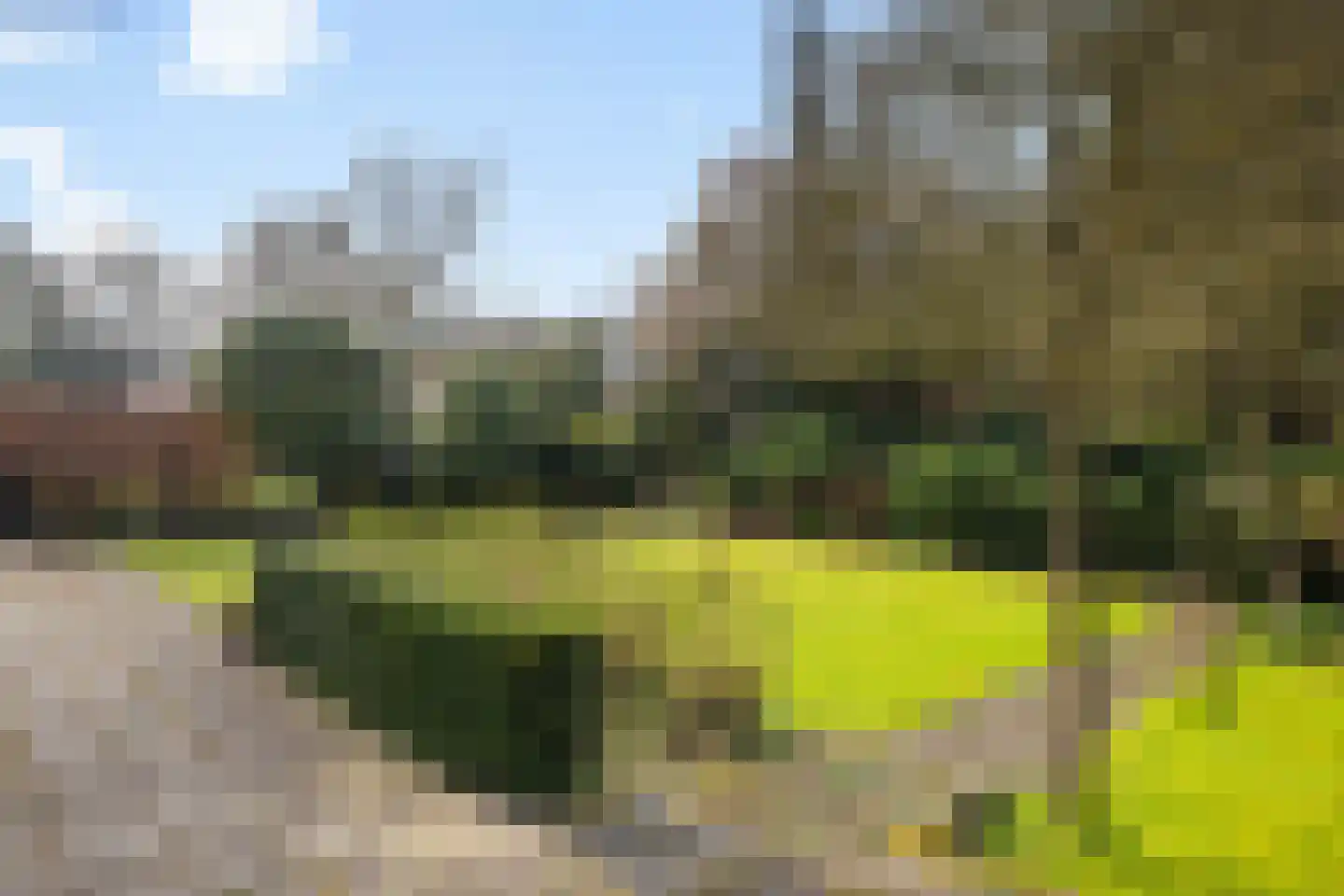 Groen van Prinstererlaan 30 Amersfoort thumbnail 25