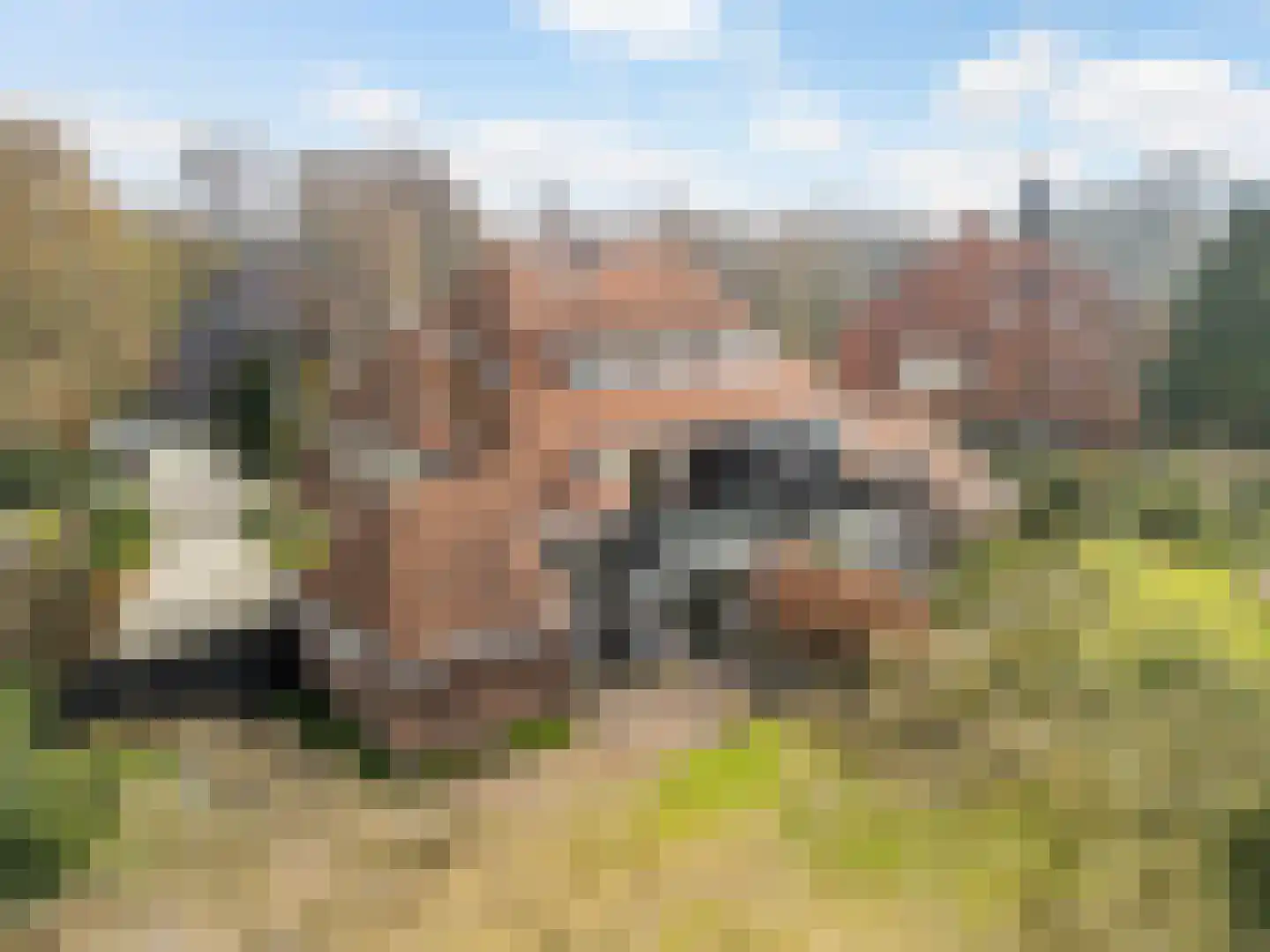 Groen van Prinstererlaan 30 Amersfoort thumbnail 30