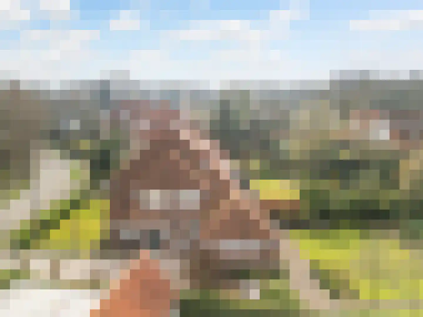 Groen van Prinstererlaan 30 Amersfoort thumbnail 31