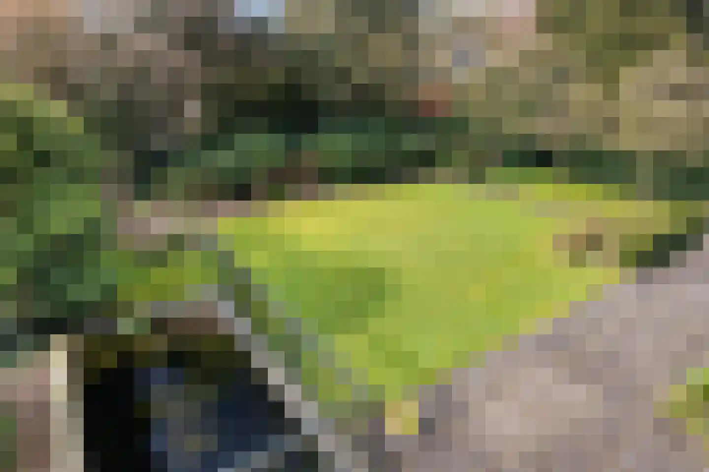 Groen van Prinstererlaan 30 Amersfoort thumbnail 37