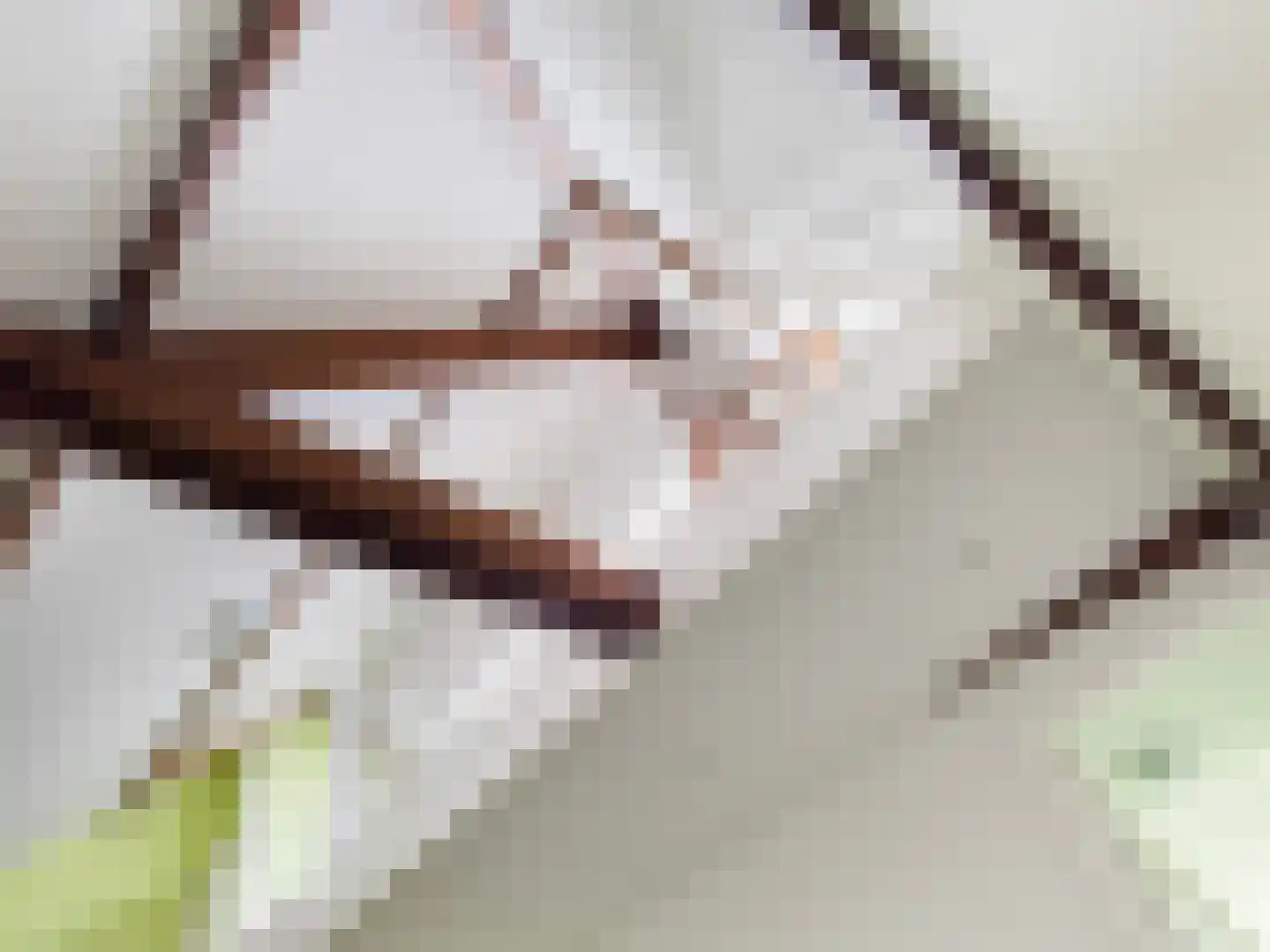 Groen van Prinstererlaan 30 Amersfoort thumbnail 48