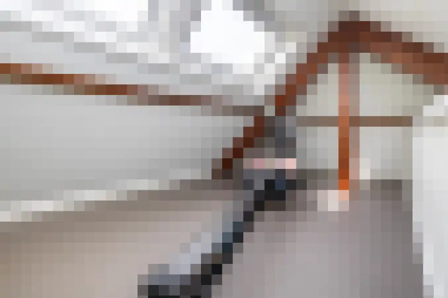 Groen van Prinstererlaan 30 Amersfoort thumbnail 49