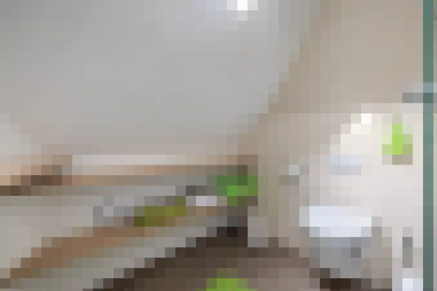 Groen van Prinstererlaan 30 Amersfoort thumbnail 53