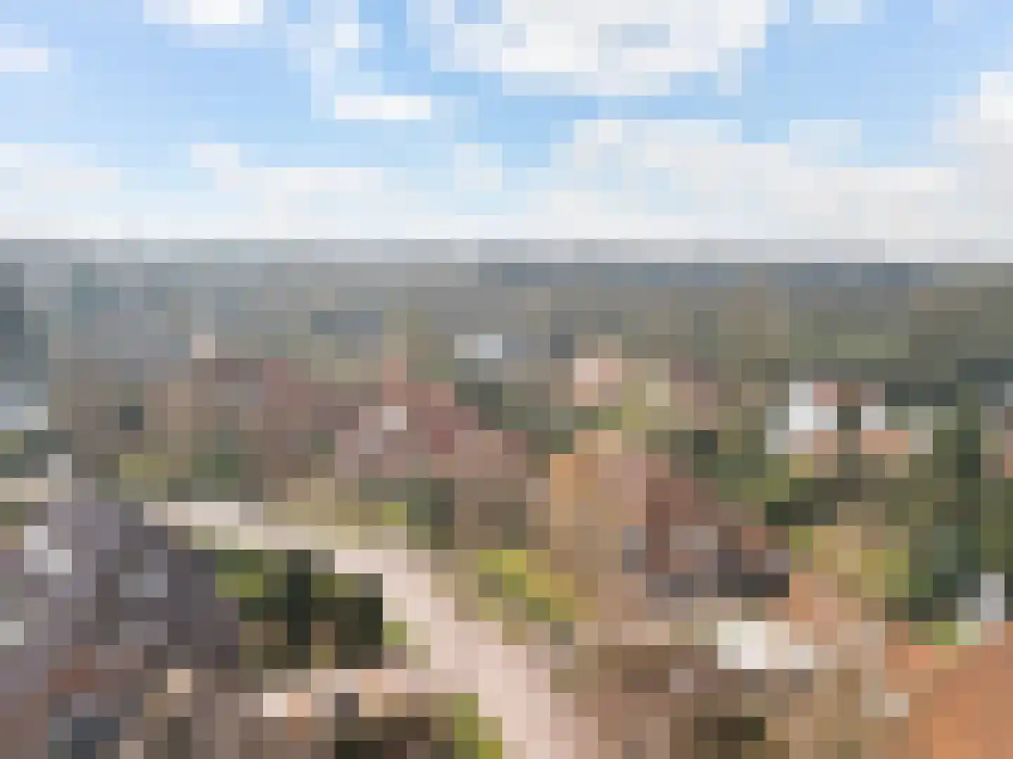 Groen van Prinstererlaan 30 Amersfoort thumbnail 54