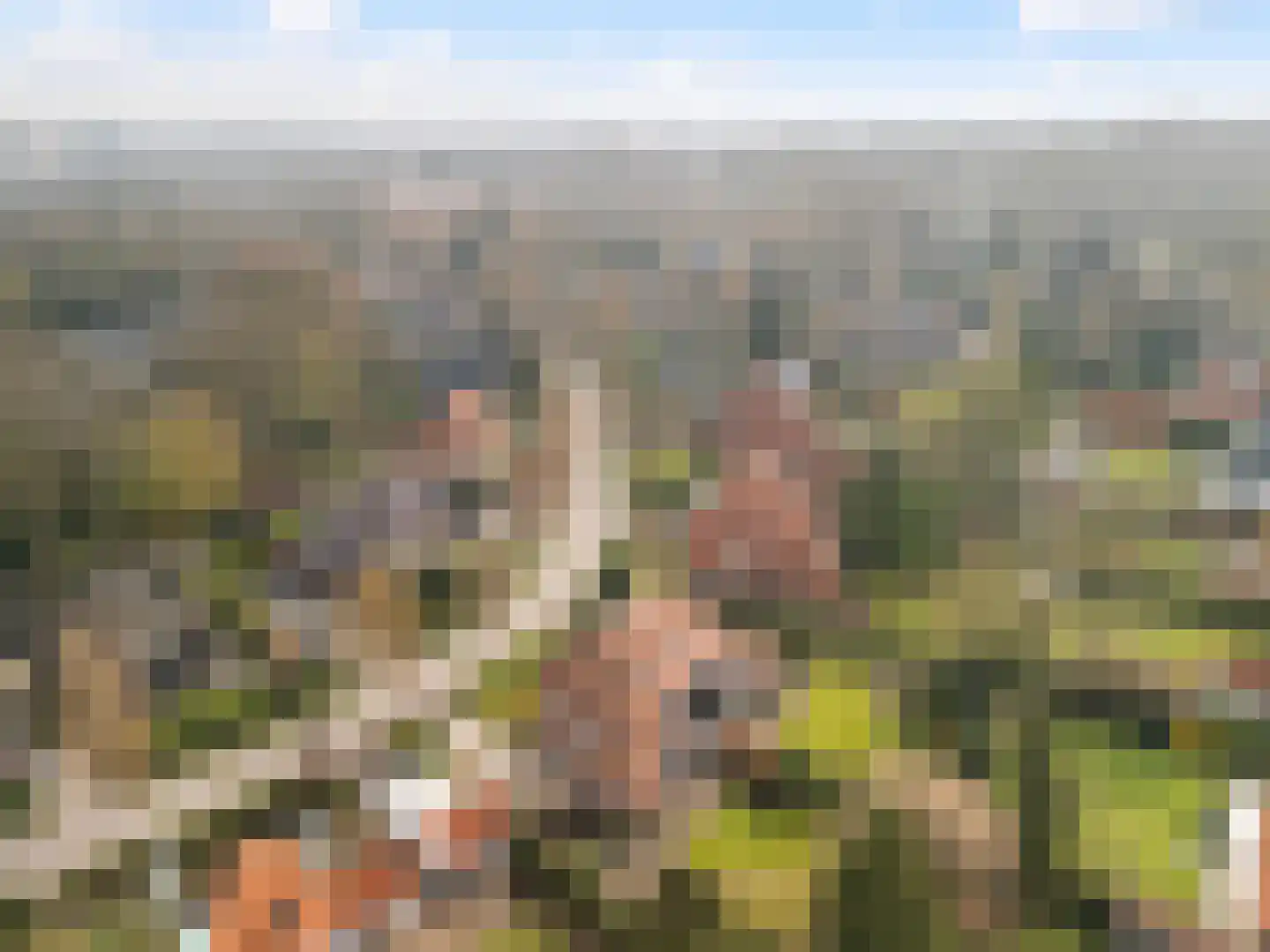 Groen van Prinstererlaan 30 Amersfoort thumbnail 55