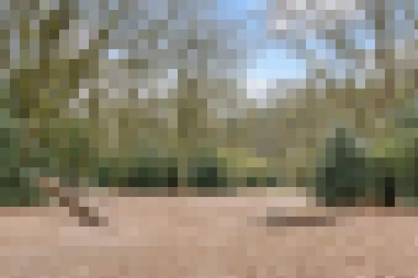 Groen van Prinstererlaan 30 Amersfoort thumbnail 56