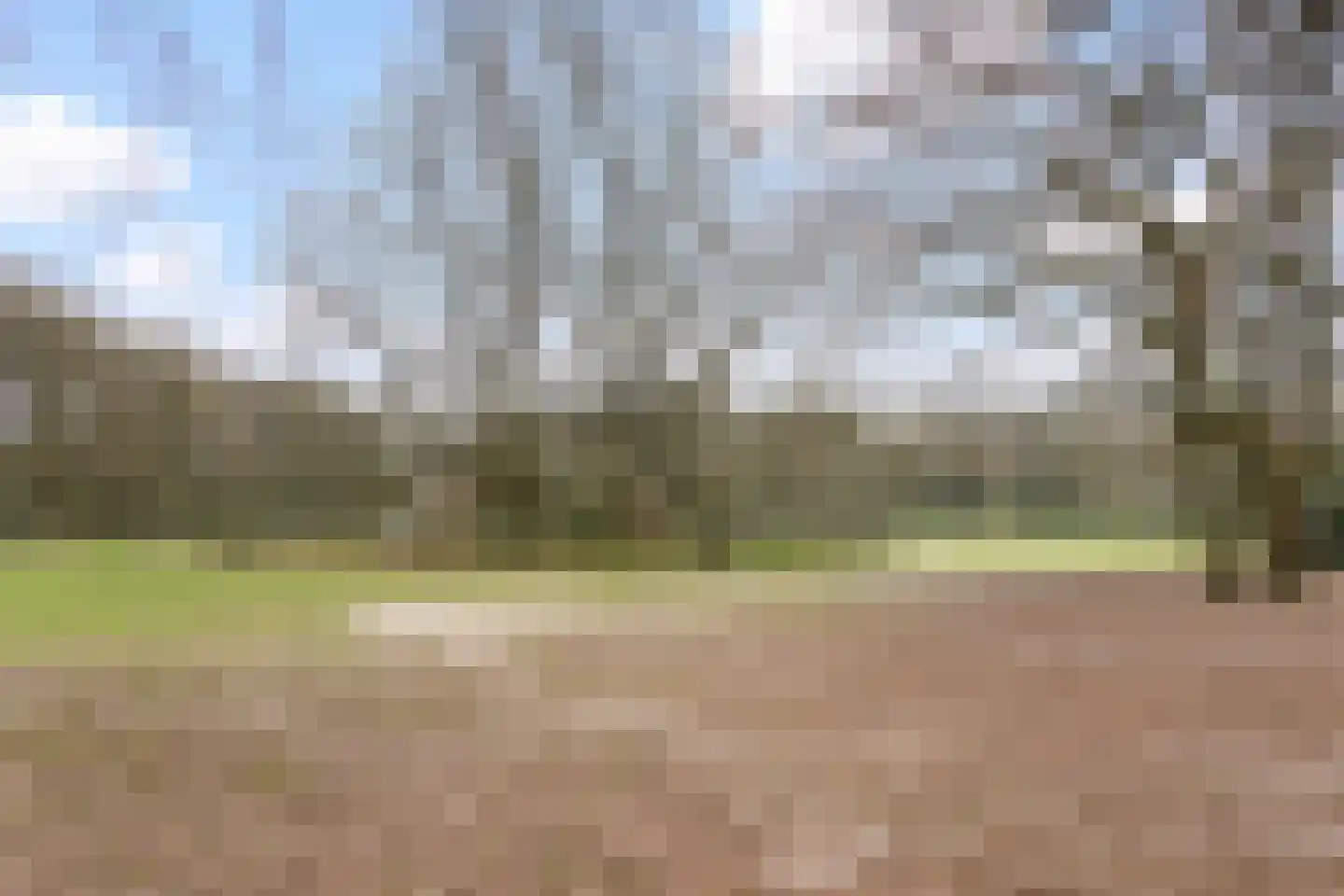 Groen van Prinstererlaan 30 Amersfoort thumbnail 58
