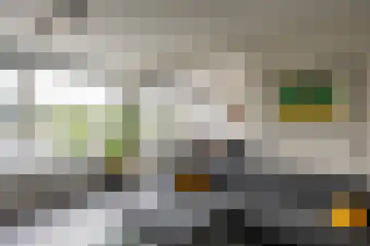 Groen van Prinstererlaan 30 Groningen thumbnail 14