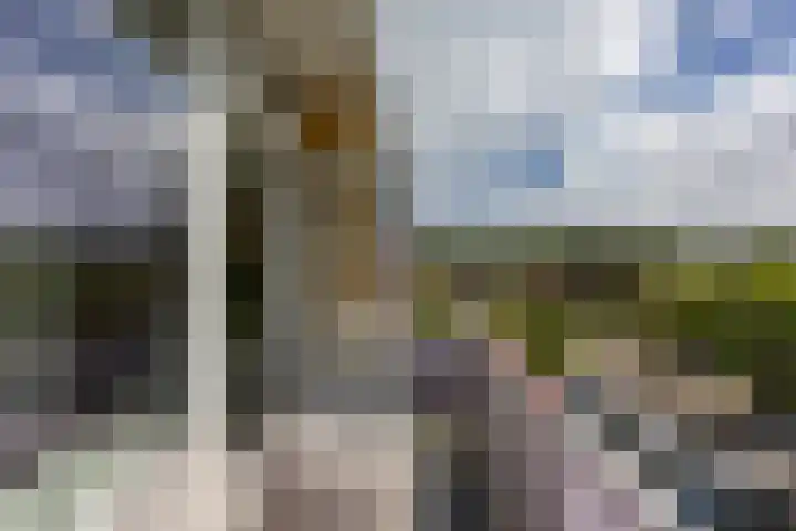 Groen van Prinstererlaan 30 Groningen thumbnail 20