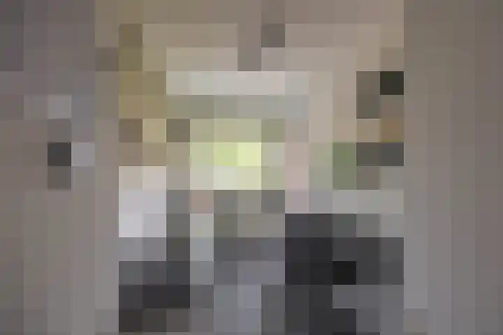 Groen van Prinstererlaan 30 Groningen thumbnail 22