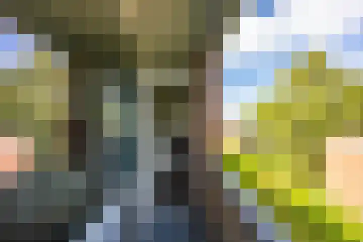 Groen van Prinstererlaan 30 Groningen thumbnail 25