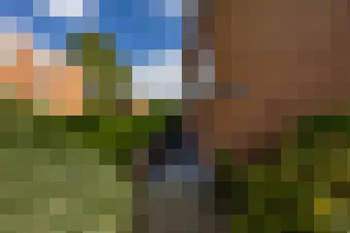 Groen van Prinstererlaan 30 Groningen thumbnail 38