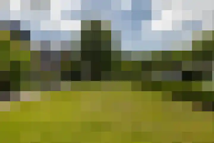 Groen van Prinstererlaan 30 Groningen thumbnail 41
